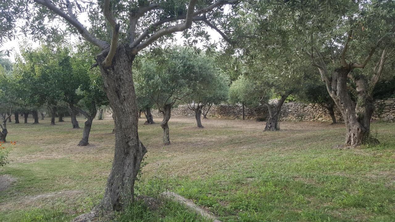 Serra E Mesu Affittacamere Magomadas ภายนอก รูปภาพ